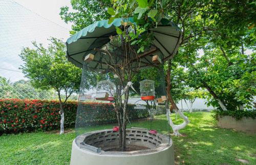 Casa Rio Doce - Foto 24