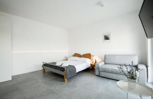 Vila Visnjic - Foto 31