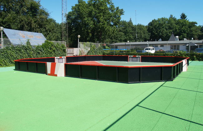 4 bedroom House in Lochem with swimming pool and terrace - Photo 22