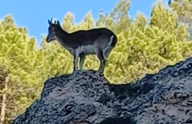 El Rincón de BeBa - Foto 9