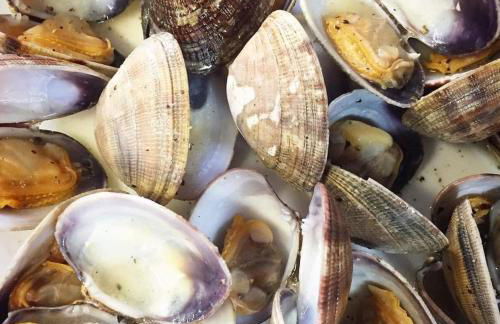 Catedral Plaza - Foto 30