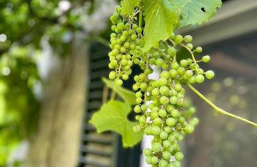 Villa Annika - Foto 23