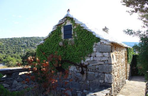 Country House Hacienda - Photo 43