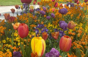 Schöne Wohnung in der Altstadt - Foto 57