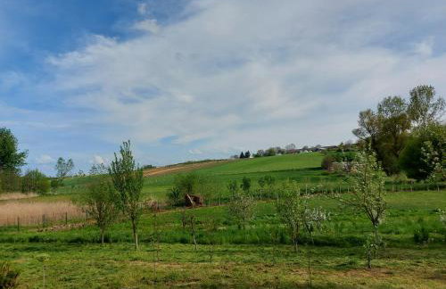 Domki pod Brzozą - Foto 25