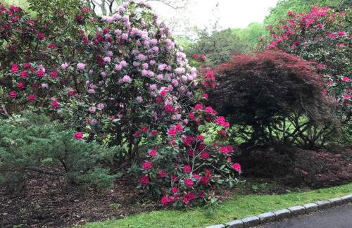 Midcentury Modern ZenHouse Sculptor Studio - Foto 56