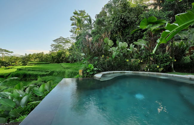 Villa Kembang Bali - Foto 55