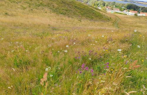 Ferienhaus "Sommerbrise" - Foto 57