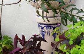 Patios con encanto - Foto 18