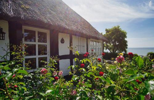 strandnahe Idylle am Meer, private Badestelle mit Strandkorb - Gutshof Ostseeblick FeWo Nr 04 - Photo 22