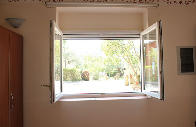 Buen Camino SSA - Foto 18