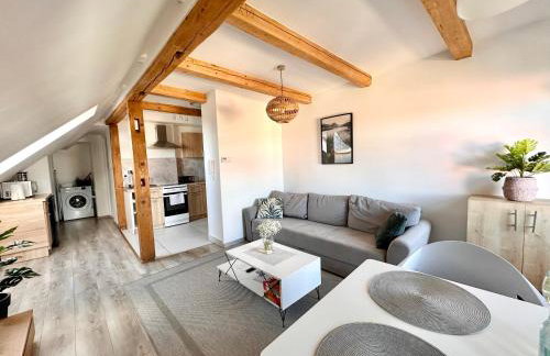 Klimatyczne apartamenty z widokiem na góry Sowie - Foto 45