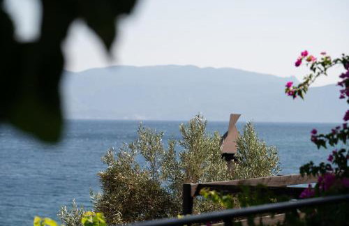 Agrilia Koromili Retreat - Foto 17