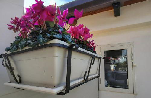 Ciauru ri Casa - Foto 17