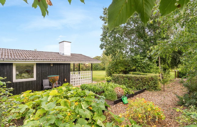 "Suoma" - 400m to the fjord - Foto 8