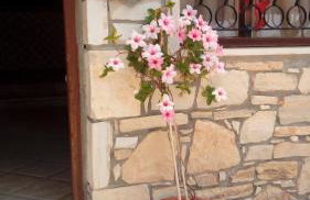 Villa Koutsakis - Foto 26