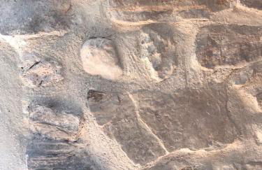 El Portal de Moratalla - Foto 58