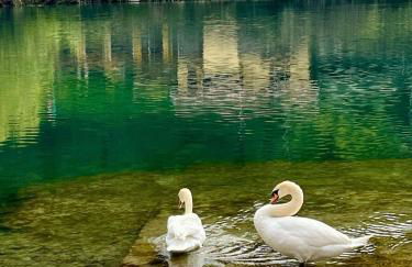 La casetta di Sonia - Foto 42