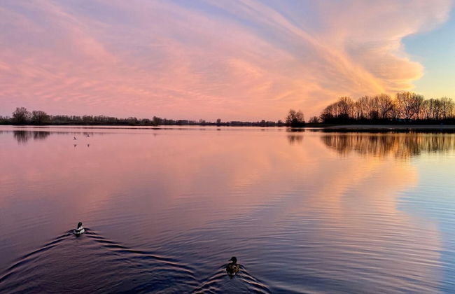 Nice Holiday Home With Terrace - Photo 36