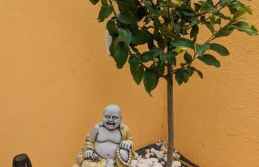 Casa Felicitas - Foto 8