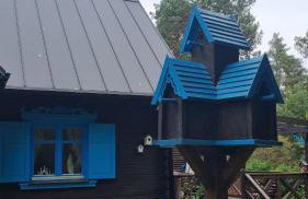 Niezapominajka - Foto 25