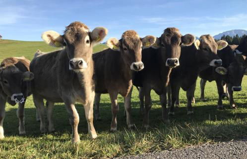 Ferienwohnung am Kurpark - Foto 21