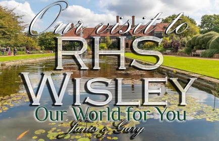 Highfield Home with free parkings, Surbiton, Kingston upon Thames, Surrey, Greater London , UK - Foto 77