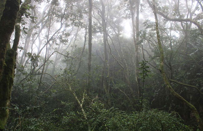 Fray Jorge National Park Trip - Photo 4