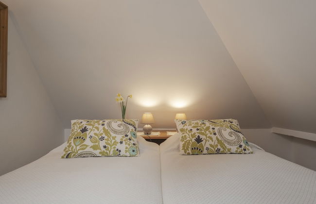 Surrounded by Nature - Casa da Cebola - Foto 3