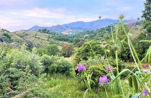 Casa MARINA - Photo 52