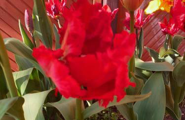 Apartamenty LeVilla - Foto 35