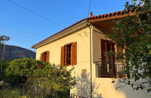 Lemon Tree House - Foto 2