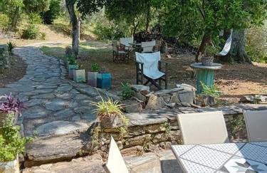 Traditional stone house in Pelion - Photo 39