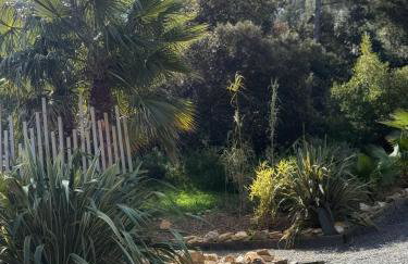 Villa Costa Ricaine - Foto 55