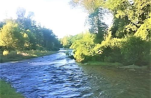 Tarbes Immeuble résidentiel labelisé et classé Proche des Halles Marcadieu et Brauhauban et du Parc des expositions - Appartements Appaloosa T2 Rdc et Pyrénéa T2 au 1er étage avec terrasse couverte -Parking gratuit- - Photo 13