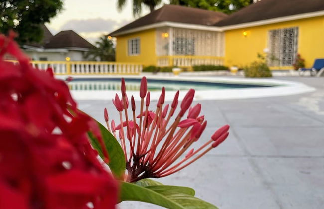 Yancey Largo Villa Perfect Jamaica Ironshore Getaway w Private Pool and Onsite Staff Services by RedAwning - Photo 73