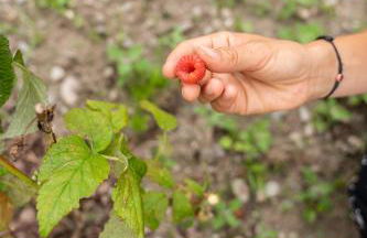 FONTIS luxury spa lodge - Photo 36