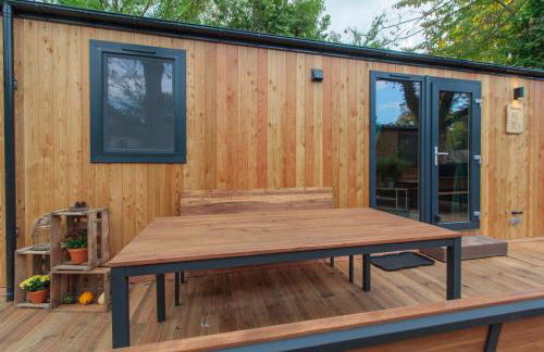 Racoon - Außergewöhnliches Tinyhauserlebnis beim Reptilienzoo Reptilium - Foto 44