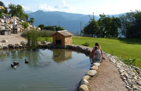 Residence Liesy - Foto 8