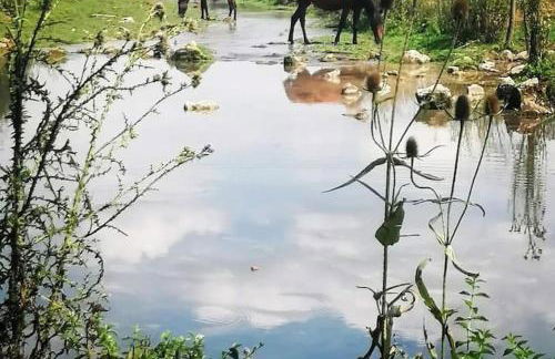 Il Borgo della Zittola - Foto 59