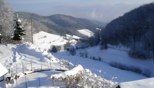 Heizmannshof - Foto 4