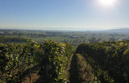 Villa Bonita del Kaiserstuhl - Foto 4