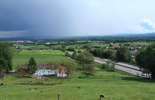 Les terrasses de la loue au domaine de Tara - Foto 9