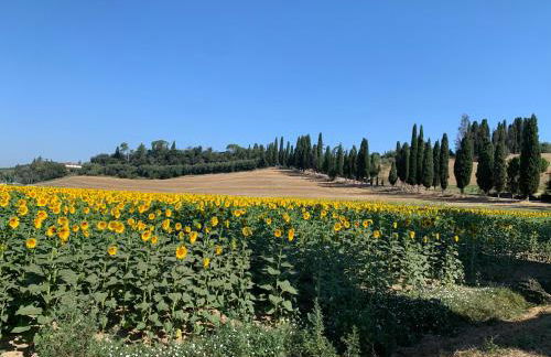 Casa le Ciance - Foto 12