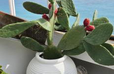 Oltre l'essenza del mare - Foto 25