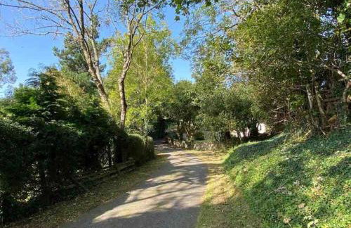 Allt Lwyd - Peaceful & Tranquil Setting - Photo 43