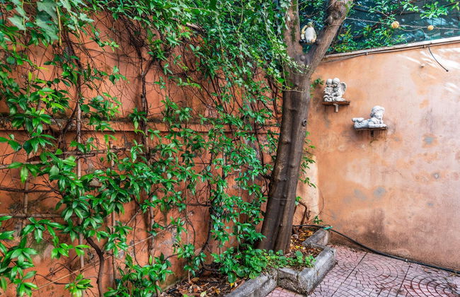 Bright and Spacious Philbeach Garden Apartment - Foto 40