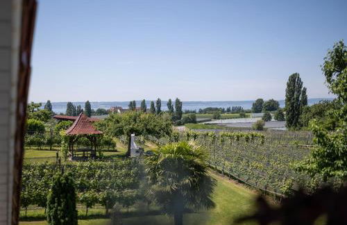 Obst- und Ferienhof Gomeringer - Foto 43