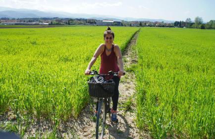 Agriturismo Casa Agricola Rossi Appartamenti in Casentino - Foto 55