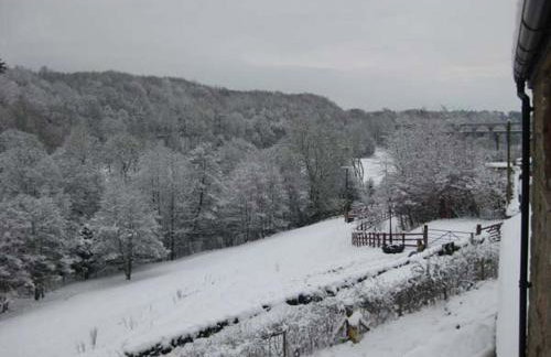 Little Cow House - Foto 35